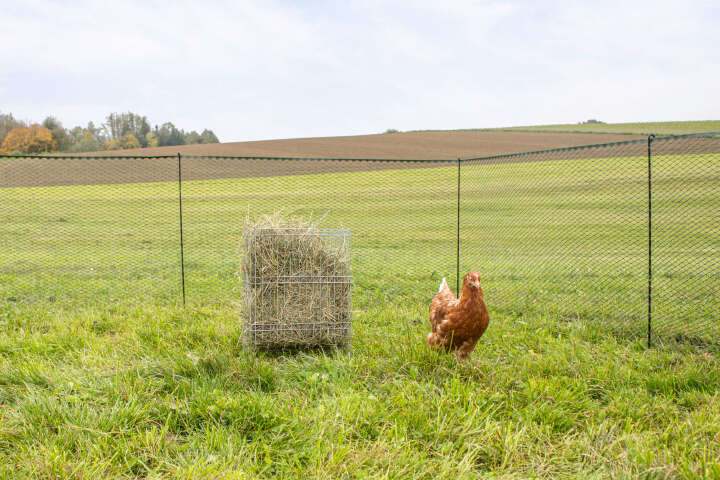 KERBL Kleintier-Raufe